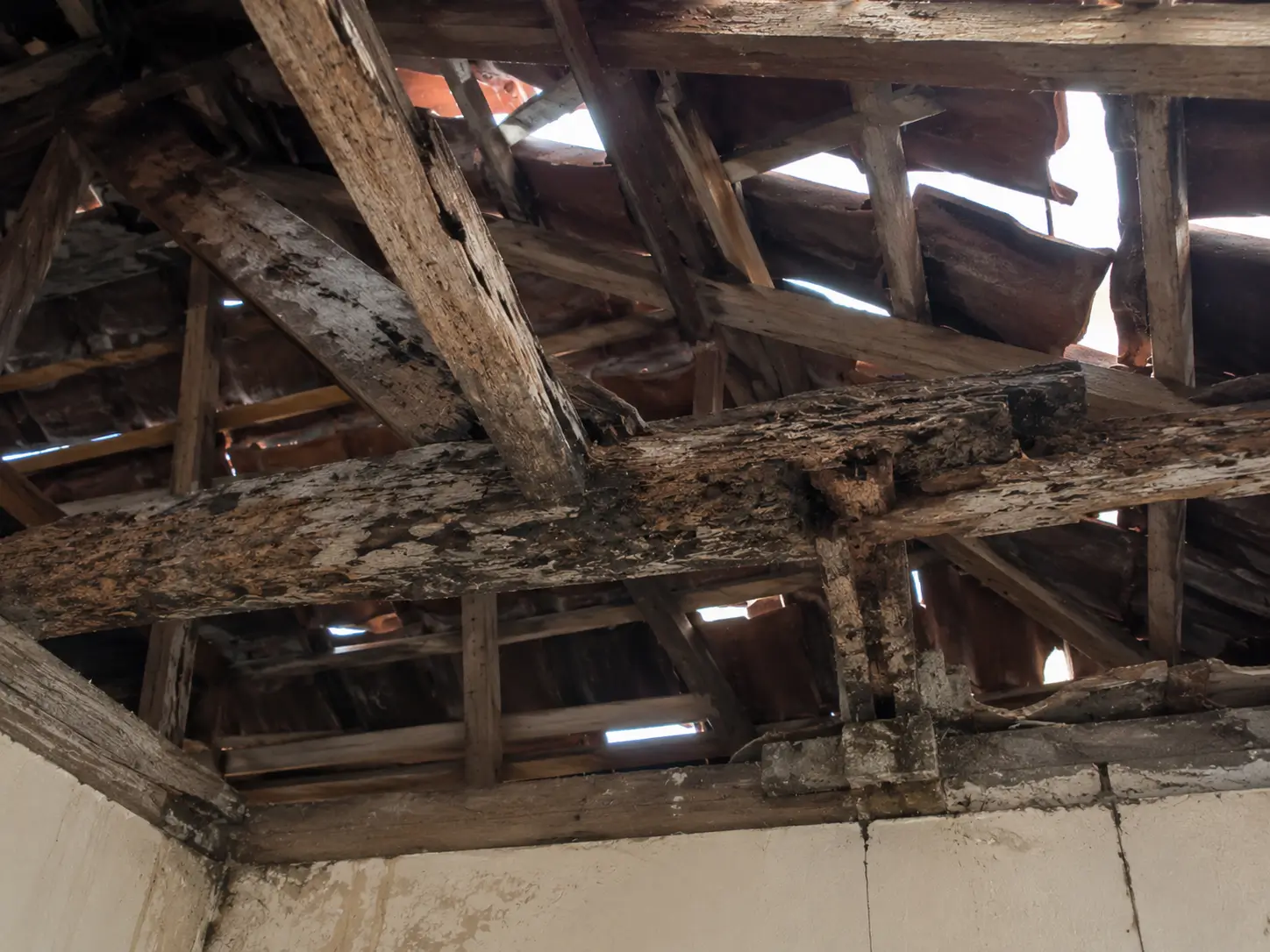 Rangka atap rumah rusak